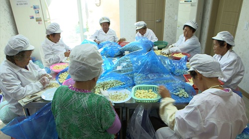 Những người già sống nghèo đói, chết cô quạnh ở Hàn Quốc