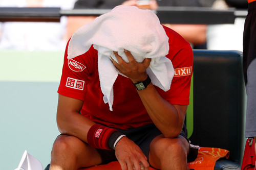 Kerber, Halep và Nishikori bất ngờ chia tay Miami Open