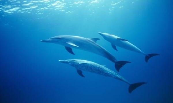 7 khả năng siêu nhiên của con người