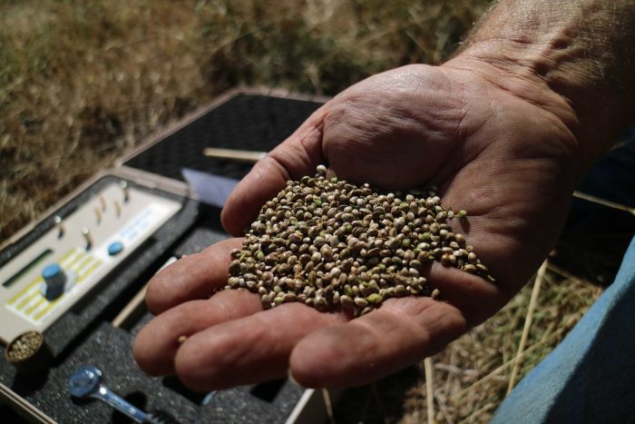 Chương trình Thời sự thứ Ba, 19/03/2019