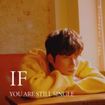 Nếu Em Còn Độc Thân (If You Are Still Single)