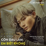 Còn Đau Lắm Em Biết Không